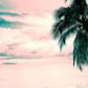 cheick_26